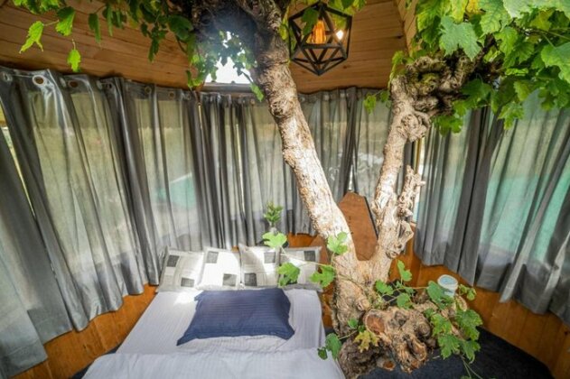 360deg View Treehouse - Photo2