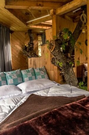 360deg View Treehouse - Photo5