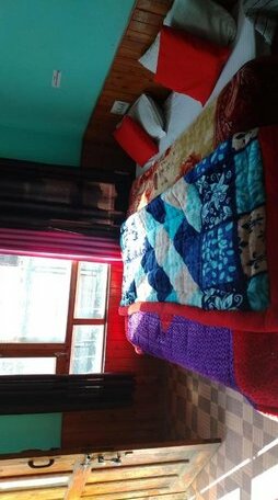 Jalori Spring Guest House - Photo3