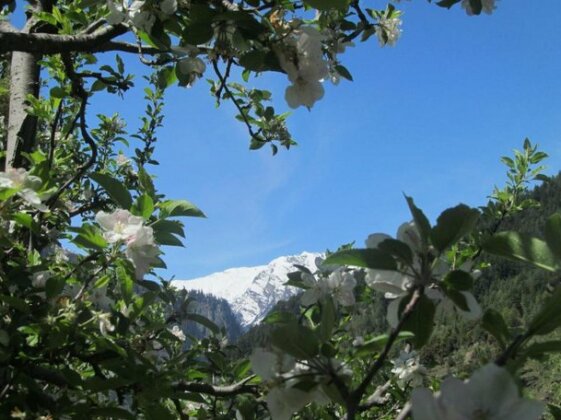 Rock Top Inn Jibhi - Photo3