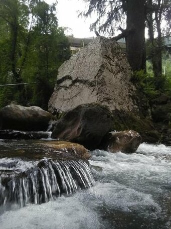 TreeSouls Hostel Jibhi - Photo2