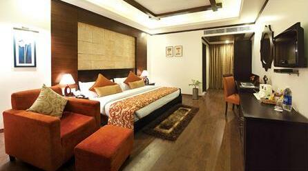 SKN Clarks Inn - Photo2