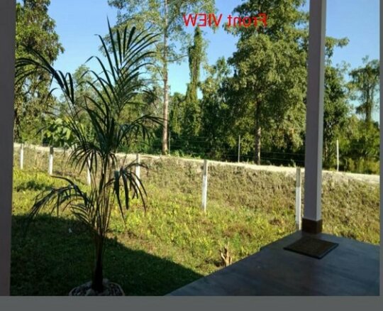 The Wild Tiger Resort - Photo5