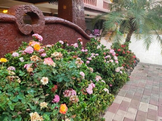 Casa Pacheco Trinity Beach Benaulim - Photo3