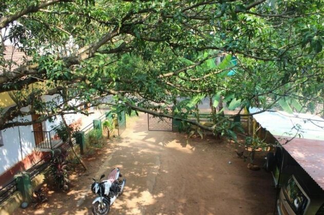 NK Greens - Photo4