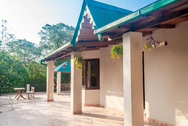 The Camphor Tree - Pura Stays - Photo2