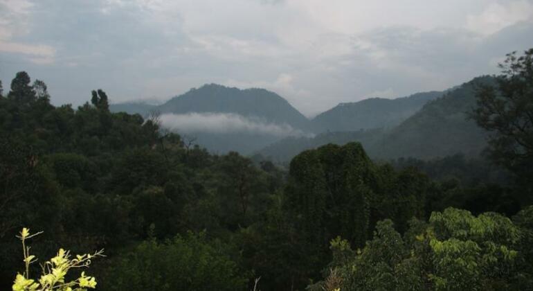 The Green Lodge - Photo5