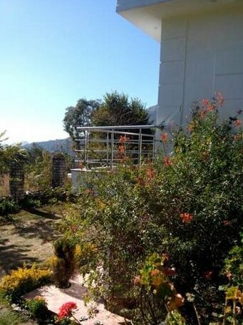 Whistling Pines - Photo2