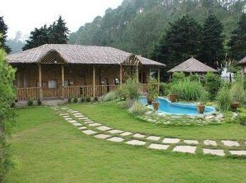 OYO Premium Jungle Theme Bhowali - Photo2