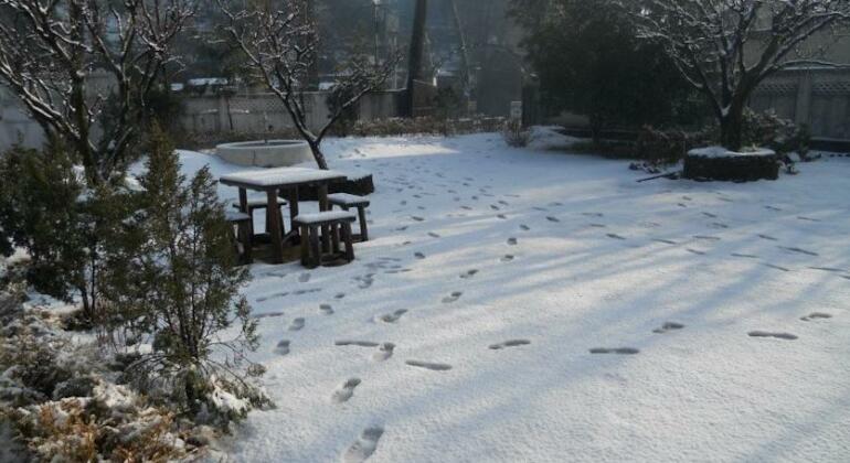 Rewa Retreat - Photo2
