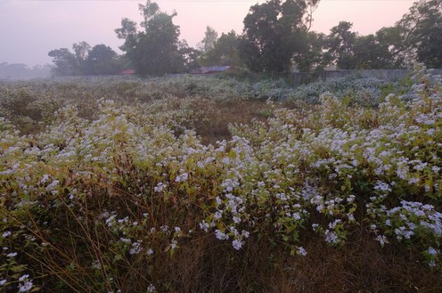 Homestay - Svanir Wilderness Ecostay - Photo3
