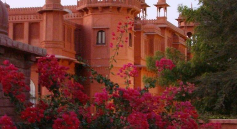 Gaj Kesri - Photo2