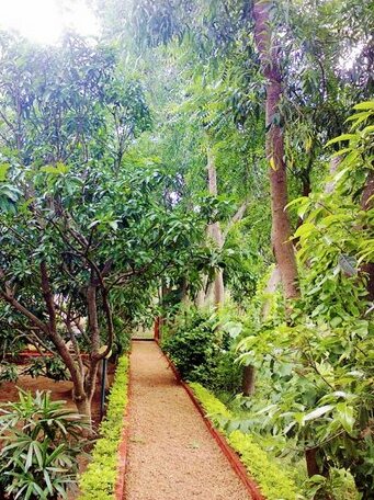 Prokriti Bon Bungalow - Photo3