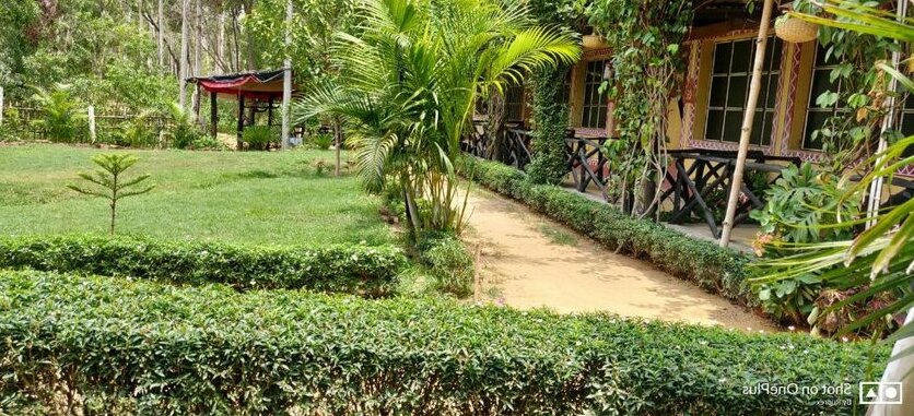 Roshnai Village Resort - Photo3