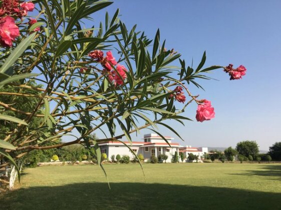 Amourcasa Homestay - Photo4