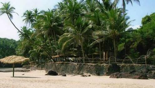 Blue Lagoon Resort Goa - Photo5