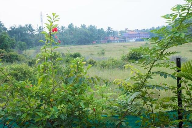 Go Green Spice & Eco Resort - Photo4