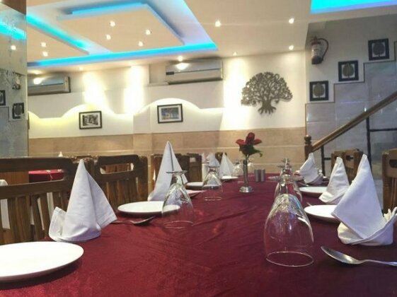 Hotel Ekant Chail - Photo3
