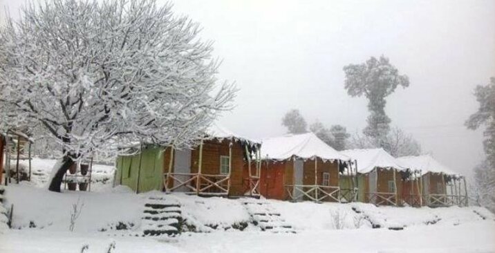 Jungle Livinn Cottages - Photo2