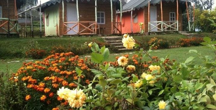 Jungle Livinn Cottages - Photo4