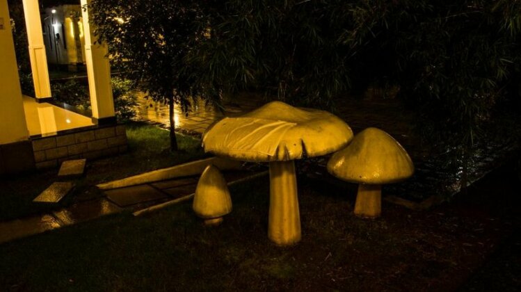 Mushroom Hut Resort - Photo5