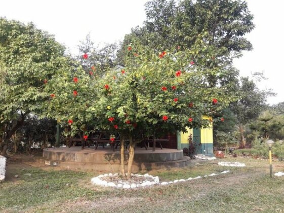 Garumara Green Wilderness Resort - Photo3