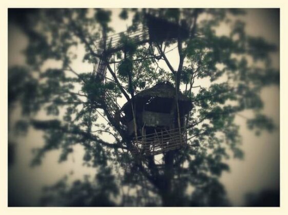 Homestay - Mawlynnong Homestay - Photo3