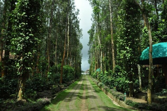 Coffee Grove Resort - Photo2