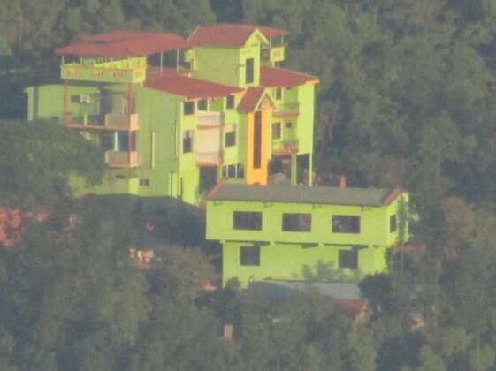New Green Land - Photo2