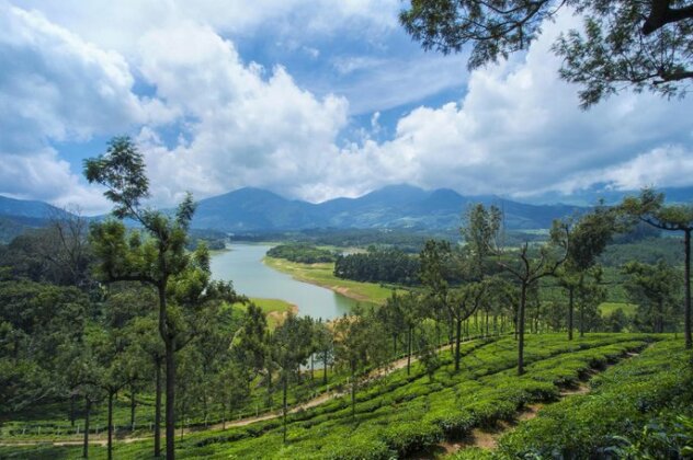 Mount View Munnar - Photo3