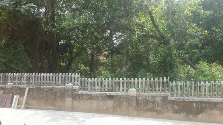 Beach Villa B - Photo4