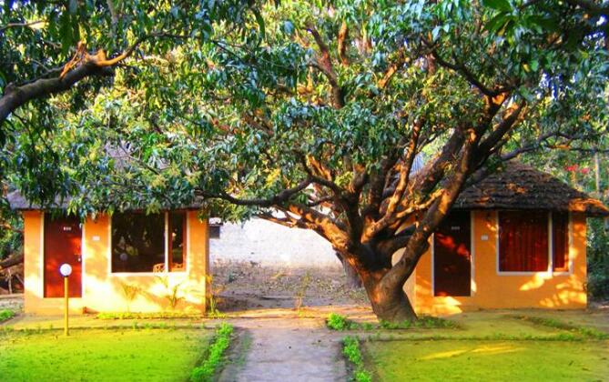 Jungle Paradise Retreat - Photo2
