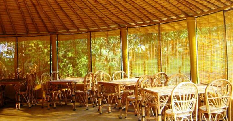 Jungle Paradise Retreat - Photo3