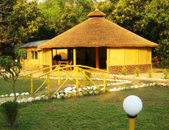 Jungle Paradise Retreat - Photo4