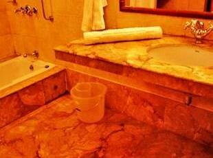 Tiger Camp Hotel Ramnagar - Photo3