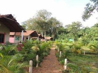 Dandeli - Jungle Nest - Photo2