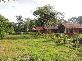 Dandeli - Jungle Nest - Photo5