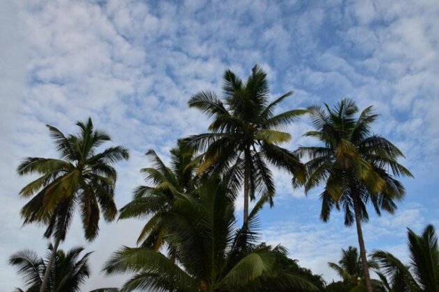 Pebble Bay Home Stay - Photo3