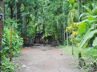 Balaji Resort Dapoli - Photo5