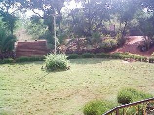 Surali Garden - Photo2