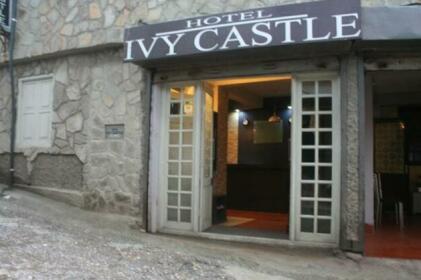 Hotel Ivy Castle
