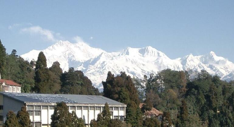 Hotel Mohit - Photo2