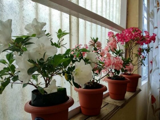 Irish homestay - Photo4