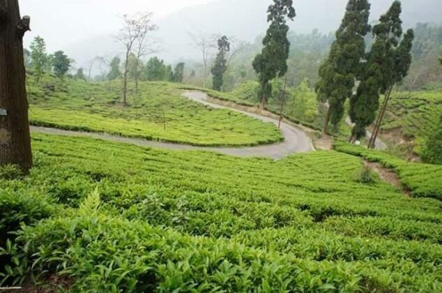 Liza Hill Homestay - Photo2