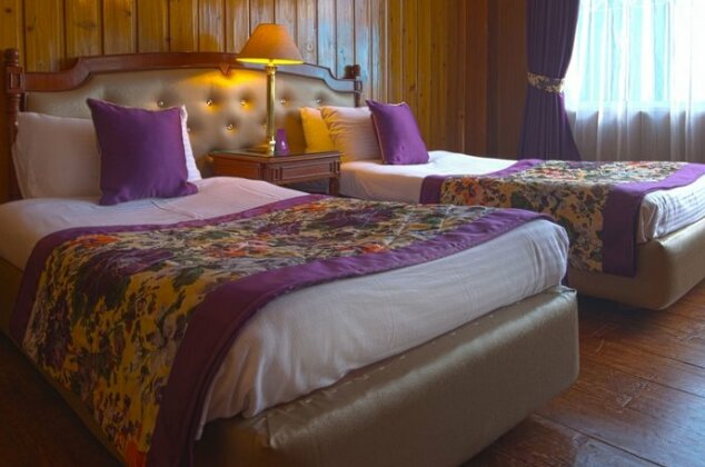 Mount Himalayan Resort - Photo5