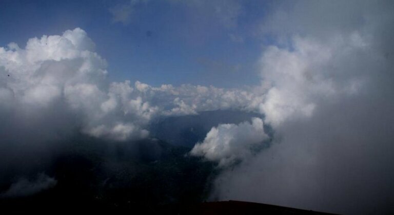 Shohini's Grace