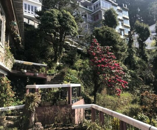 The English Cottage Darjeeling - Photo5