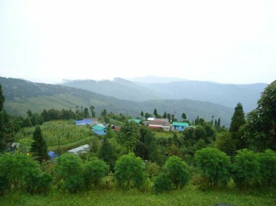 Vamoose Kunga Delek - Photo2