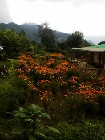 Vamoosetrail Mirik - Photo2