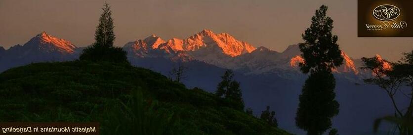 Villa Everest - Photo4